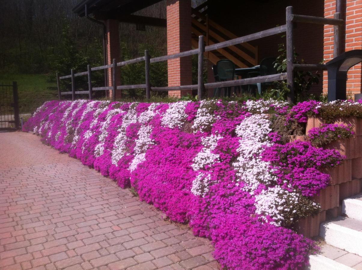 Agriturismo Altana Del Motto Rosso Gattico Buitenkant foto